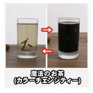 【人気マジック】お茶の色が一瞬で変化「マジカルティー」