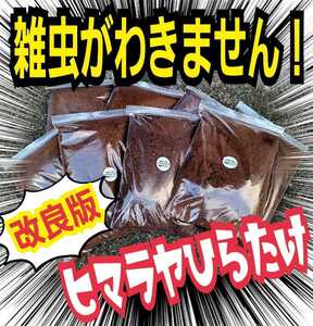 雑虫、コバエがわきません！　改良版☆発酵カブトムシマット【３袋】幼虫の餌・産卵に抜群　栄養添加剤入り　ギネスサイズ羽化実積多数あり