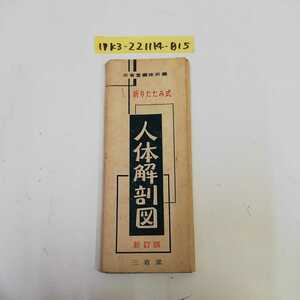 1_▼ 折りたたみ式 人体解剖図 新訂版 三省堂 1960年 昭和35年 医療 解剖 小倉正風 発行者 三省堂修所 新人体図