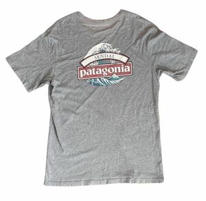 米国製 パタゴニア Tシャツ 仙台ストア限定 patagonia Store SENDAI T-Shirt 北斎 波 ウェーブ グレー サイズM [b6-0017]