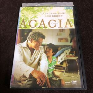 映画DVD ACACIA アカシア アントニオ猪木 石田えり 坂井真紀 川津祐介 北村一樹 猪木インタビュー特典付き