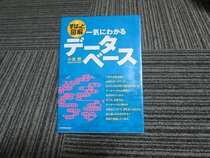 送料無料！　ずばっと解説　一気にわかるデータベース