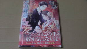 4月刊*離婚しようと記憶喪失のふりをしたら、怜悧な旦那様が激甘に愛してきます*宇佐木/氷堂れん*マーマレード文庫