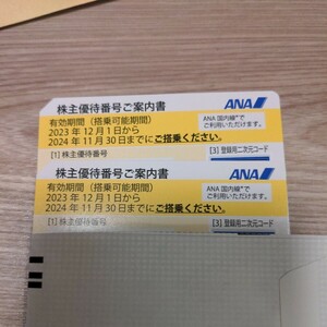 ANA 全日空　株主優待 2枚【送料無料】ANA(有効期限2024年11月30日)