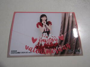 AKB48 netshop限定 ２０２４．０２ vol.1 柏木由紀生写真 １スタ