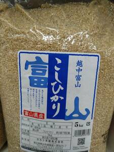富山県産　こしひかり　玄米　令和5年産　5kg　複数可