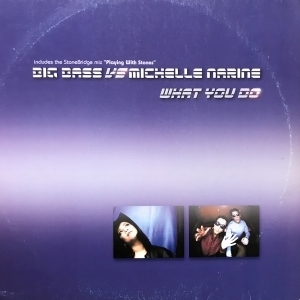 12inchレコード BIG BASS VS MICHELLE NARINE / WHAT YOU DO