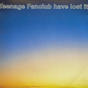 Teenage Fanclub - Teenage Fanclub Have Lost It（７インチ）