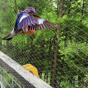 防鳥・防除ネット 可愛いベットの脱走・落下防止 鳥の鳴き声対策 ドッグラン 鳥よけ カラス対策 安眠 ベランダ 畑 結束バンド付き 普段使い