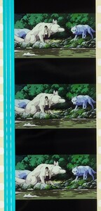 もののけ姫　35mm　フィルム　スタジオジブリ PRINCESS MONONOKE　サンとモロとモロの子供たち