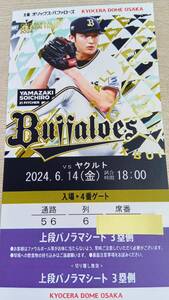 6月14日　6/14　オリックス対ヤクルト　上段パノラマシート　1枚価格　京セラドーム大阪