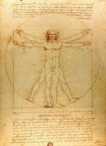 レオナルド・ダヴィンチ『ウィトルウィウス的人体図』 1487年頃 34x25cm 原寸サイズ 複製 ◆ミケランジェロ ラファエロ 絵画 ルネサンス