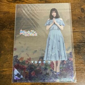 新品未使用 乃木坂46 松村沙友理 クリアファイル 