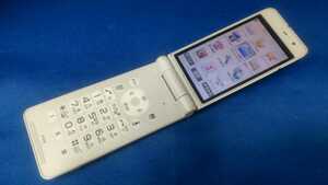 docomo FOMA P-01E ＃DG4107 Panasonic パナソニック ガラケー ケータイ 折り畳み式 簡易動作確認＆簡易清掃＆初期化OK 判定○ 送料無料　