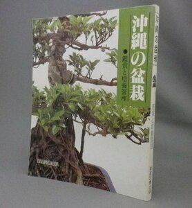 ☆沖縄の盆栽　鑑賞と培養管理　　（植物・琉球・沖縄）