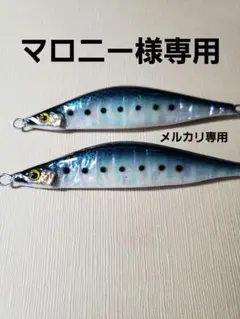 マロニー様確認用