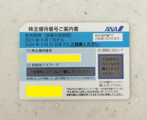 全日空 ANA 株主優待券 1枚 株主優待番号ご案内書 50%OFF券 ～2024.5.31 取引ナビによる番号通知対応可 未使用