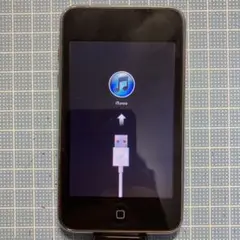 iPod touch 32GB A1318