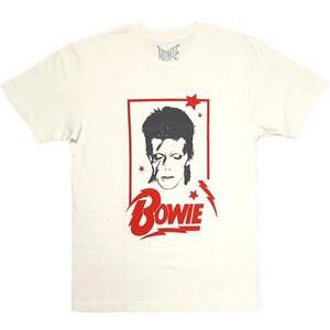 [Lサイズ]David Bowie （デヴィッド・ボウイ） Aladdin Sane （アラジン・セイン）デザイン バンドTシャツ #2