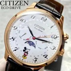 定価5.7万円 Citizen新品 ミッキー メンズ腕時計エコドライブ ソーラー