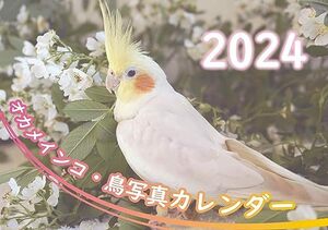 オカメインコ鳥写真カレンダー2024　B6サイズ。ワンタッチで卓上にも壁掛けにもなる3Wayカレンダー