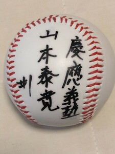 中日ドラゴンズ山本泰寛直筆サインボール