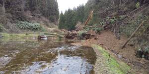 【復興米】５年産 コシヒカリ 玄米２４㎏⑧ 石川県輪島産 農家直送 遠赤外線乾燥 無農薬栽培 世界農業遺産 紙袋で発送