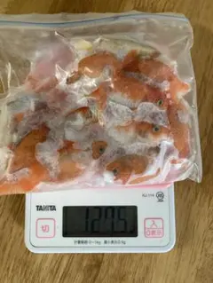 約127g★冷凍エサ　餌　雑魚　鯉　稚魚　金魚