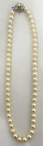 アコヤ　本真珠　ネックレス　約6.8-7.1mm珠 約43cm pearl necklace ジュエリー jewelry 金具　シルバー　刻印
