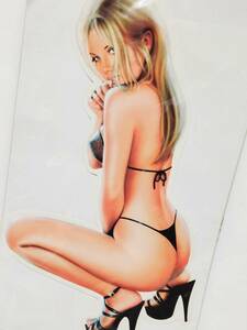 SLAP ON ART デカール シール 500x280mm (XXL) ■ 即席 エアブラシアート ドレスアップ !! #スラップオン