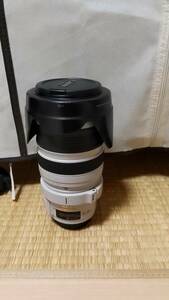 Canon EF 28-300mm F3.5-5.6 L IS USM 