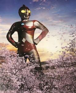 ULTRAMAN THE STYLE CALENDAR SPECIAL EDITION フォト　写真　ウルトラマン ウルトラマン80