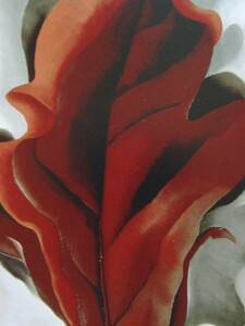 ジョージア・オキーフ、白地に暗赤色の大きな葉、希少画集画、新品額装付、状態良好、salt