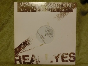 中古 12”LP レコード 邦盤 AIJL 5175 Mondo Grosso モンド・グロッソ Shinin