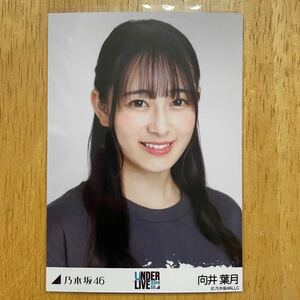 乃木坂46 向井葉月 33rdSG アンダーライブTシャツ 生写真 ヨリ 1枚 検) 会場 限定 アンダラ 横浜アリーナ