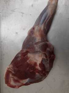 猪肉　うで肉　733g　骨付き ペット用　ジビエ 4