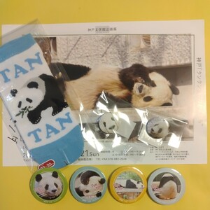 タンタン　王子動物園　マグネット　セット　缶バッジ　靴下　ありがとうタンタン　THANKS TANTAN パンダ　ジャイアントパンダ　panda 