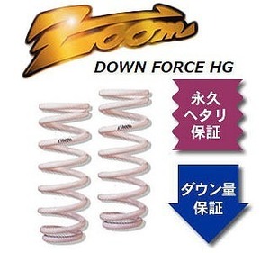 ズーム ダウンフォースHG ローダウンサスペンション ZPG003001FHG 入数：フロント左右 プジョー 205 20B1 1600cc 1983年01月～1995年04月