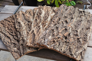 薄板　１枚　樹皮　コルク板　20×30ｃｍ（厚約5ｍｍ）洋蘭　原種　チランジア　エアープランツ　熱帯植物　ラン　コルク　樹皮　