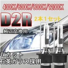 HID D2R 12V 24V 35W 車 ライト ヘッドライト