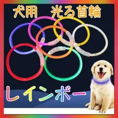 犬用 光る 首輪　レインボー　35cm 夜の散歩 LEDライト USB充電 安全