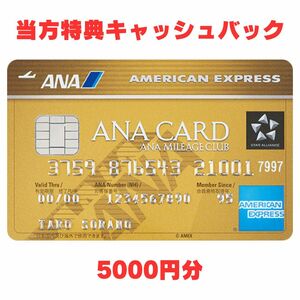 【当方特典あり/特典最大68000マイル獲得】ANAアメックス ゴールドカード アメリカンエキスプレス AMEX 審査緩 低収入