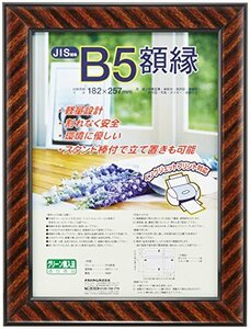 ナカバヤシ 木製軽量額縁 金ラック B5(JIS規格) フ-KWP-11 オフィス用品