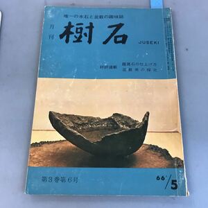 B04-063 樹石 盆栽・水石の趣味誌 66