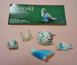 ☆チョコQ ペット動物 第4弾 セキセイインコ（ヒナ）ブルーハルクイン　アニマテイルズ