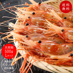 天然ボタンエビ500g Lサイズ(ぼたんえび)刺身で食べれる牡丹海老 高級食材のボタン海老です 濃厚な甘さとプリップリッの食感(牡丹エビ)