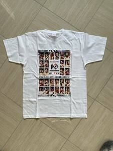 格闘技ノックアウトTシャツ新品未使用　knock out