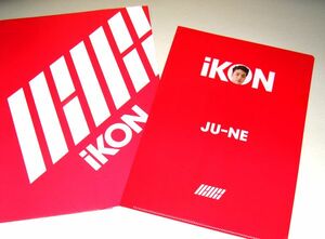 t クリアファイル [iKON JU-NE ジュネ ver. ラフォーレ原宿 POP UP SHOP]