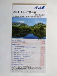 最新 全日空(ANA) グループ優待券 2024年 上期分 1冊 / ホテル&ツアー&ゴルフ