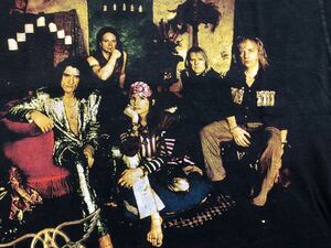 Aerosmith Nine Lives ヴィンテージ バンドＴ エアロスミス アルマゲドン rolling stones guns n roses metallica hanoi rocks skid row